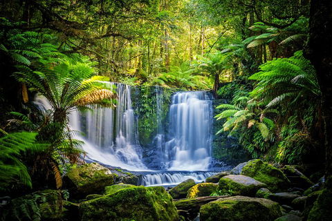 Day Tour In Mt. Field, Mt. Wellington, Bonorong Wildlife Sanctuary And Richmond - Inverell Accommodation 0