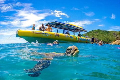 Great Barrier Reef Scenic Flight And Ocean Rafting Whitehaven Beach Day Trip - Inverell Accommodation 1