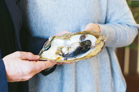 Half-Day Willie Creek Pearl Farm Tour With Helicopter Flight - Inverell Accommodation 3
