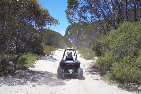 Kangaroo Island Quad Bike (ATV) Tours - Inverell Accommodation 4