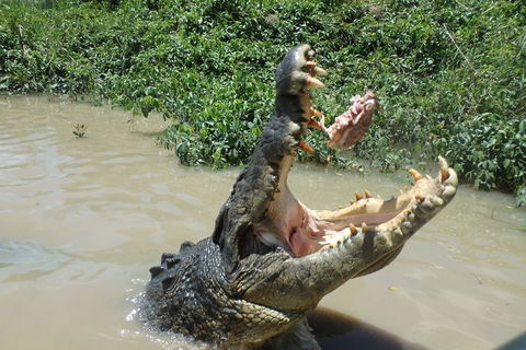 Litchfield And Jumping Crocodiles Full Day Trip From Darwin - Inverell Accommodation 3