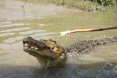 Litchfield And Jumping Crocodiles Full Day Trip From Darwin - Inverell Accommodation 4