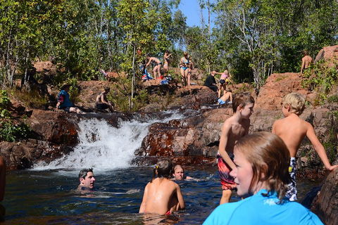 Litchfield And Jumping Crocodiles Full Day Trip From Darwin - Inverell Accommodation 5