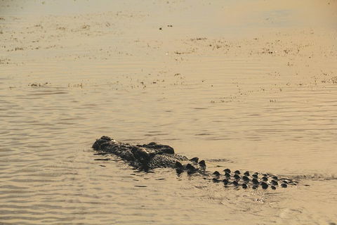 Yellow Water Cruise - Kakadu - Inverell Accommodation 2