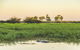 Yellow Water Cruise - Kakadu - thumb 3