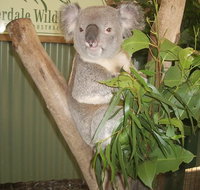 Blue Mountains Private Full-Day Tour from Sydney with Cruise - Inverell Accommodation