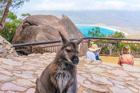 Wineglass Bay & Freycinet NP Full Day Tour From Hobart Via Richmond Village - Inverell Accommodation 0