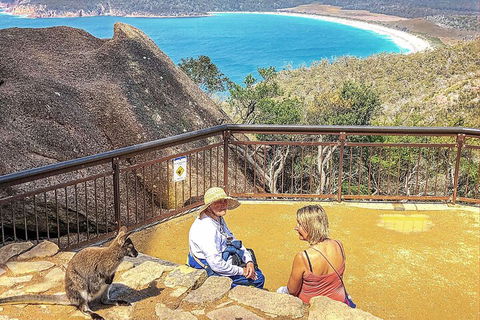 Wineglass Bay & Freycinet NP Full Day Tour From Hobart Via Richmond Village - Inverell Accommodation 1