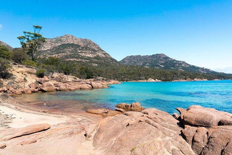 Wineglass Bay & Freycinet NP Full Day Tour From Hobart Via Richmond Village - Inverell Accommodation 5