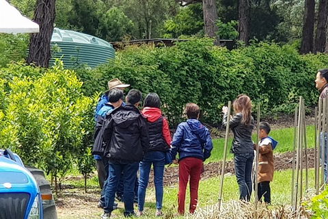 Dandenong Ranges And Rayners Orchard Tour From Melbourne - Inverell Accommodation 4
