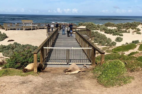 Kangaroo Island 4WD Tour - Best Of KI - Inverell Accommodation 2