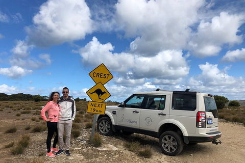 Kangaroo Island 4WD Tour - Best Of KI - Inverell Accommodation 5