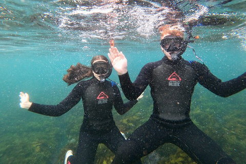 Manly Snorkel Trip And Nature Walk With Local Guide - Inverell Accommodation 3