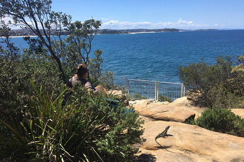Manly Snorkel Trip And Nature Walk With Local Guide - Inverell Accommodation 4