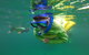 Manly Snorkel Trip And Nature Walk With Local Guide - thumb 5