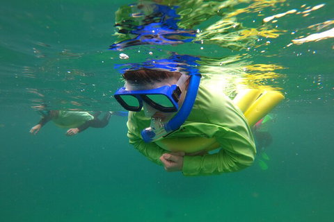Manly Snorkel Trip And Nature Walk With Local Guide - Inverell Accommodation 5