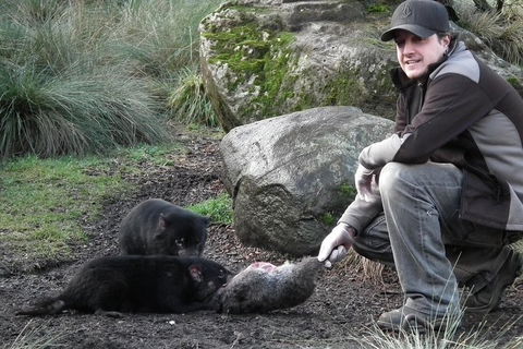 After Dark Tasmanian Devil Feeding Tour At Cradle Mountain - Inverell Accommodation 2