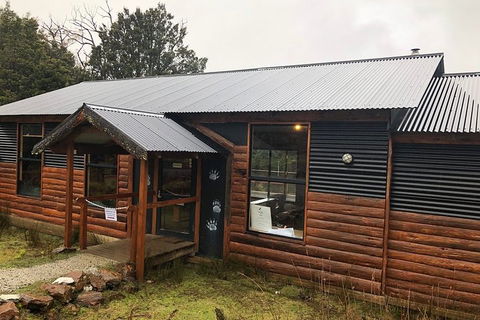 After Dark Tasmanian Devil Feeding Tour At Cradle Mountain - Inverell Accommodation 3