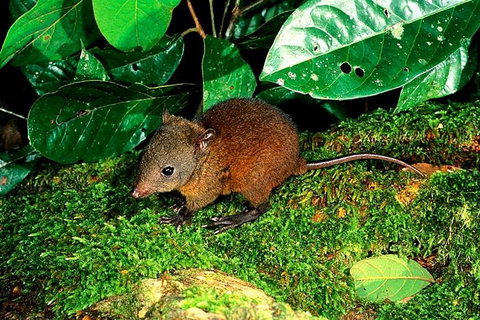 3-Day Small-Group Tour Of North Queensland With Pick Up - Inverell Accommodation 0