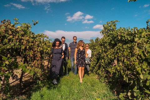Barossa Valley Private Tour (from 2 To 11 People) - Inverell Accommodation 0