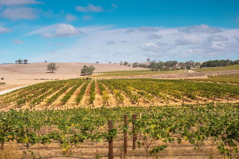 Barossa Valley Private Tour (from 2 To 11 People) - Inverell Accommodation 2