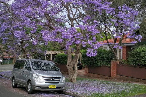 Sydney Secrets & Bondi Beach Private 4 Hr Morning With Personalised Sydney Tours - Inverell Accommodation 0
