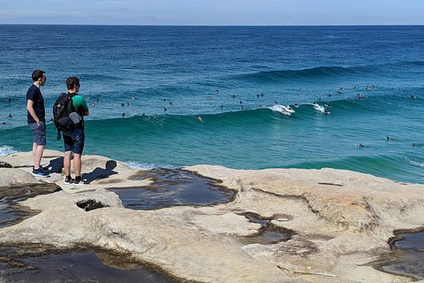 Sydney Secrets & Bondi Beach Private 4 Hr Morning With Personalised Sydney Tours - Inverell Accommodation 2