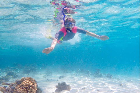 Lagoon Explorer - Ningaloo Reef Full-Day Kayaking And Snorkeling Adventure - Inverell Accommodation 5
