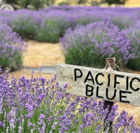 Kangaroo Island Food and Wine Trail Tour - Inverell Accommodation