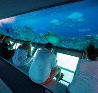Great Barrier Reef Day Cruise to Reefworld - Inverell Accommodation