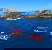 3-Hour Byron Bay Certified Scuba Diving Tour - Inverell Accommodation
