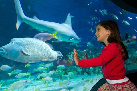 Melbourne BIG Ticket - LEGOLAND Discovery And SEA LIFE Melbourne - Inverell Accommodation 1