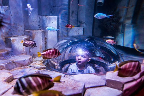 Melbourne BIG Ticket - LEGOLAND Discovery And SEA LIFE Melbourne - Inverell Accommodation 5