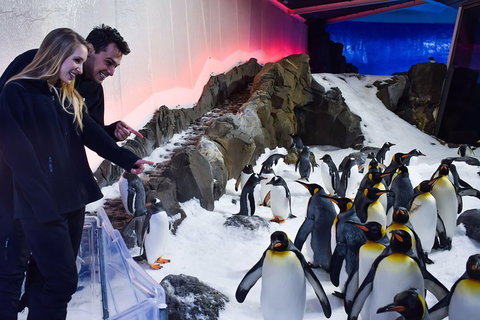 Penguin Passport At SEA LIFE Melbourne Aquarium - Inverell Accommodation 0