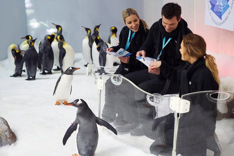 Penguin Passport At SEA LIFE Melbourne Aquarium - Inverell Accommodation 5