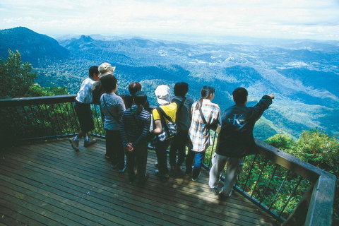 Springbrook National Park & Gold Coast Full Day Luxury Tour From Brisbane - Inverell Accommodation 0