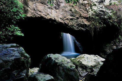 Springbrook National Park & Gold Coast Full Day Luxury Tour From Brisbane - Inverell Accommodation 2