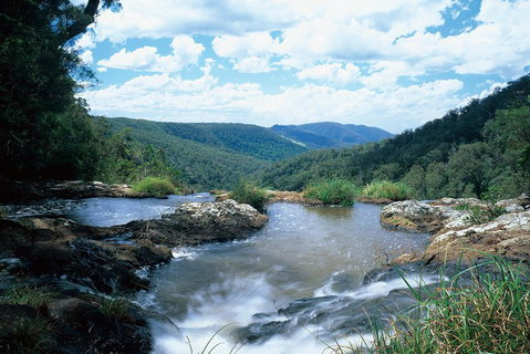 Springbrook National Park & Gold Coast Full Day Luxury Tour From Brisbane - Inverell Accommodation 3