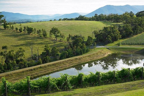 Yarra Valley Wine And Cider Tours By Classic Convertibles From Melbourne - Inverell Accommodation 1