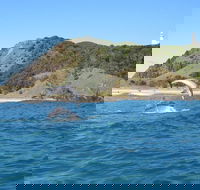 Kayaking with Dolphins in Byron Bay Guided Tour - Inverell Accommodation