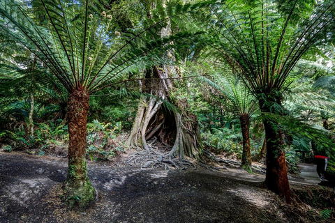 Adelaide To Melbourne 3-Day Trip Through Grampians And Great Ocean Road - Inverell Accommodation 0