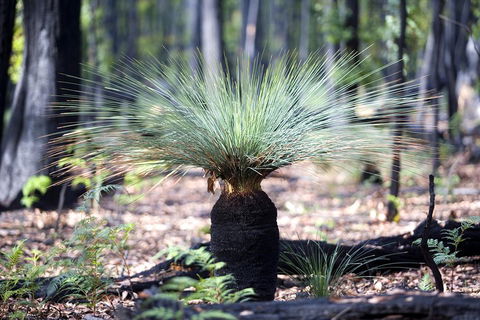 Adelaide To Melbourne 3-Day Trip Through Grampians And Great Ocean Road - Inverell Accommodation 4