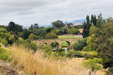 Day Tour In Mt. Field, Mt. Wellington, Bonorong Wildlife Sanctuary And Richmond - Inverell Accommodation 3