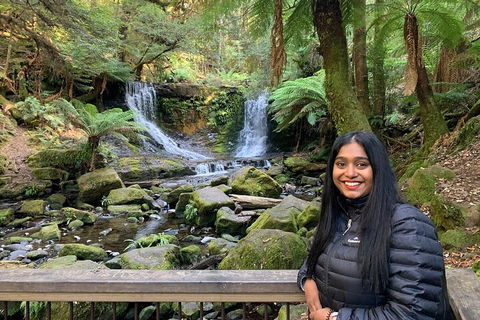 Day Tour In Mt. Field, Mt. Wellington, Bonorong Wildlife Sanctuary And Richmond - Inverell Accommodation 5