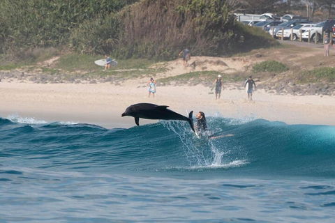 Cruise With Dolphins In Byron Bay - Inverell Accommodation 3