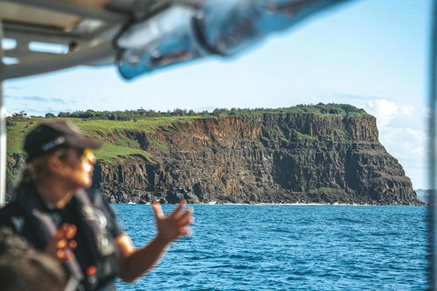 Cruise With Dolphins In Byron Bay - Inverell Accommodation 4