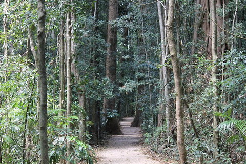 Eumundi Markets And Sunshine Coast Day Trip From Brisbane - Inverell Accommodation 4