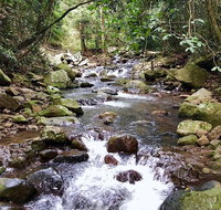 Springbrook Full Day Tour - Inverell Accommodation