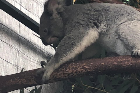 Perth Hills - Wildlife, Art & Gastronomy - Inverell Accommodation 3