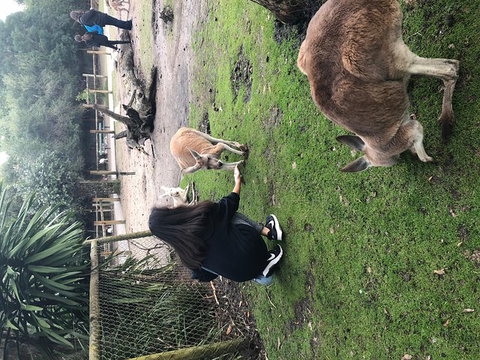 Perth Hills - Wildlife, Art & Gastronomy - Inverell Accommodation 4